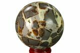 Polished Septarian Sphere - Utah #167610-1